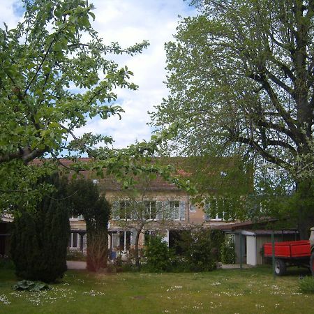 Gite Du Vieux Tilleul Fere-en-Tardenois Екстер'єр фото